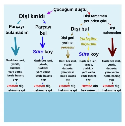Çocuğum Düştü ve Dişi Kırıldı, Ne Yapmalıyım?